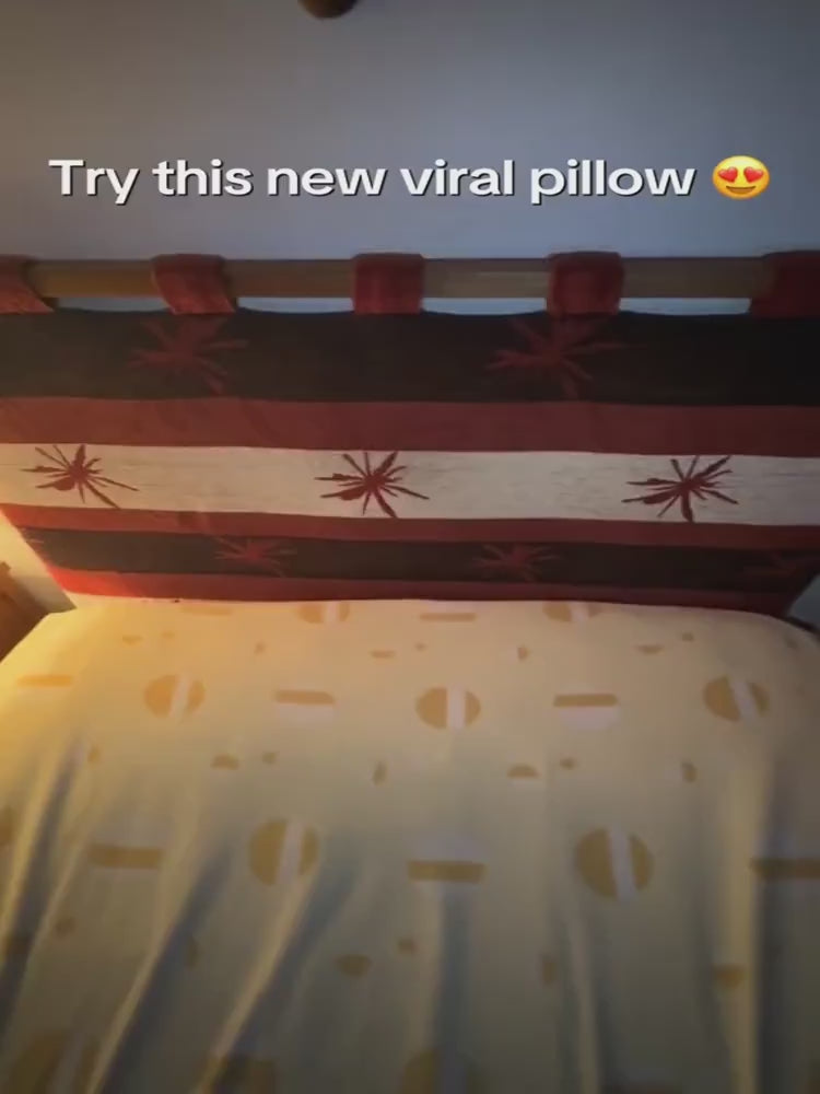 Charger la vidéo : 